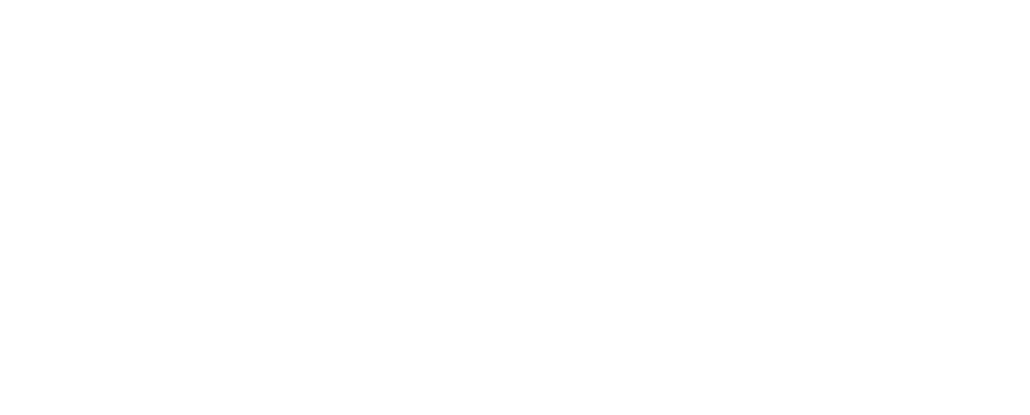 magnifying glass icon